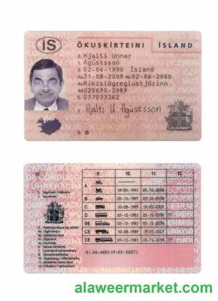 Iceland driving license